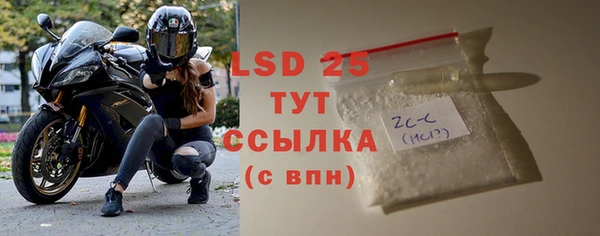 хмурый Белокуриха