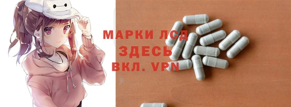 хмурый Белокуриха