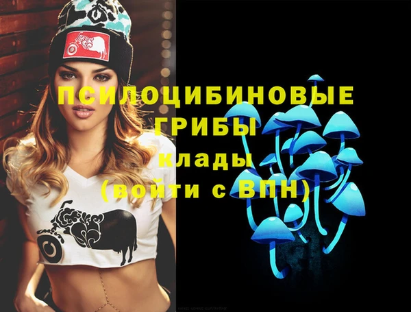 марки nbome Беломорск
