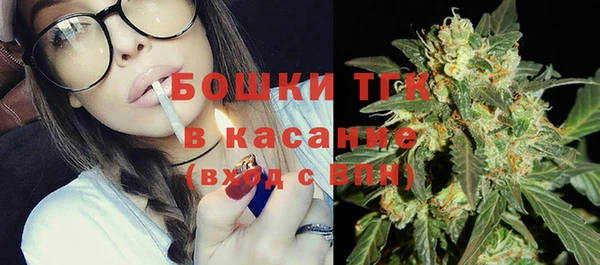 хмурый Белокуриха