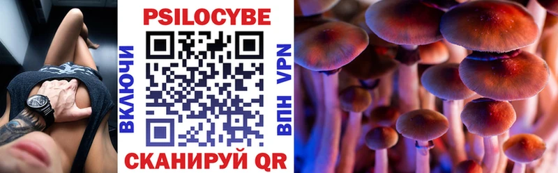 kraken как зайти  Волжск  Псилоцибиновые грибы прущие грибы 